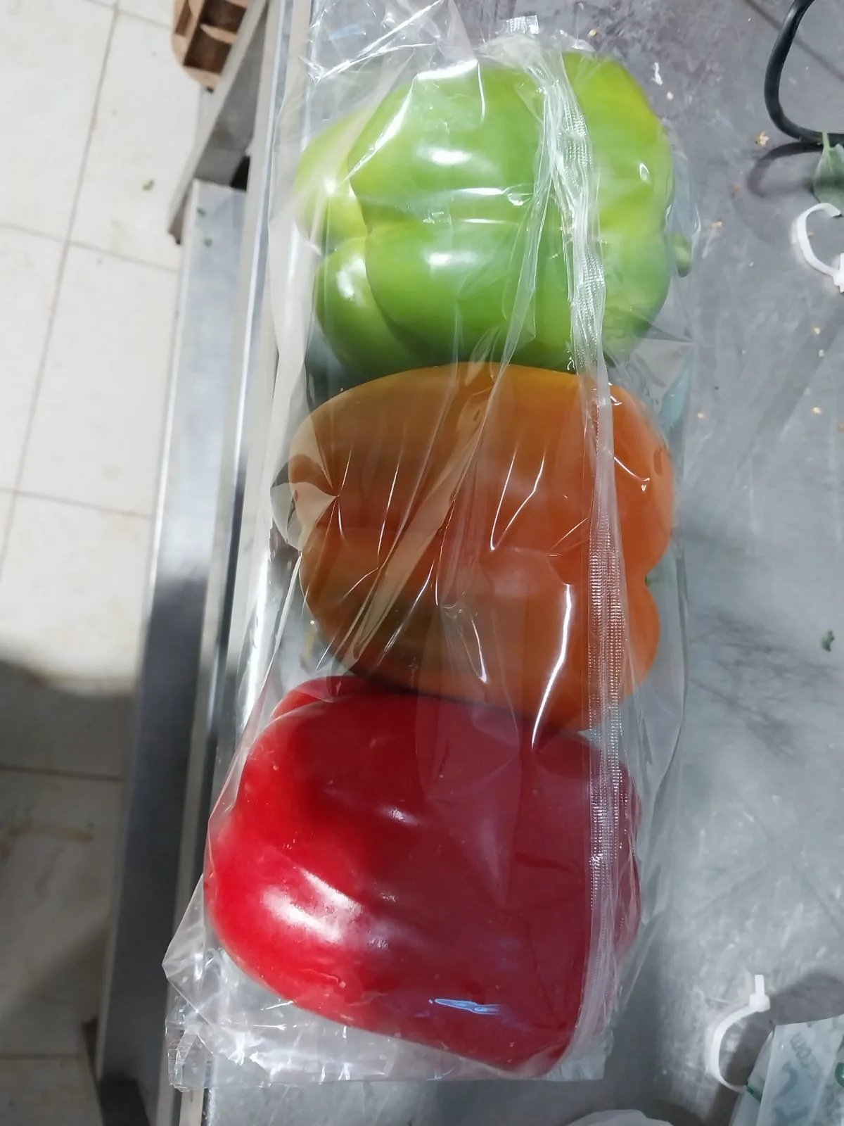 Capsicum
