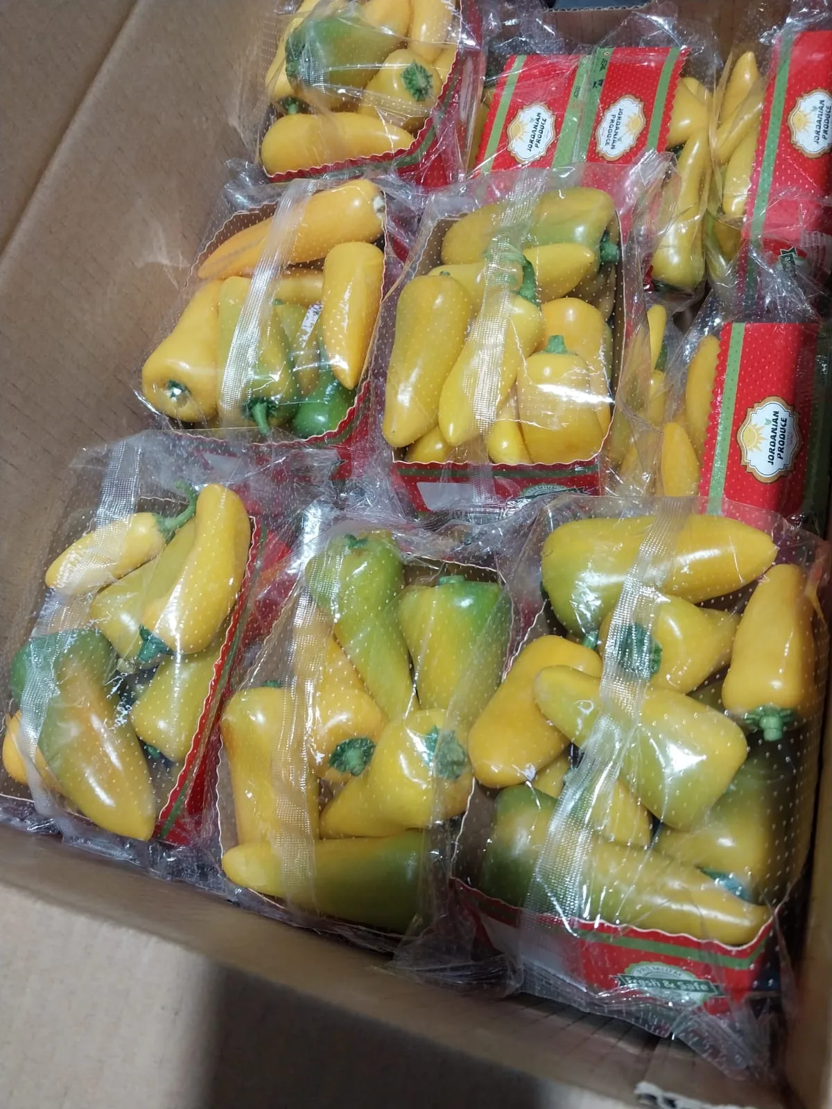 Capsicum