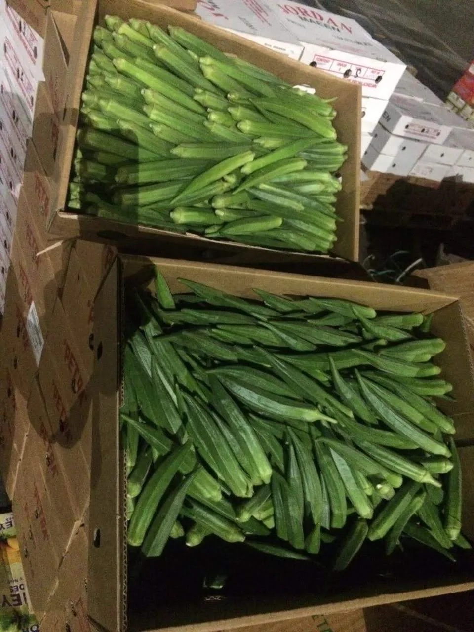 Okra